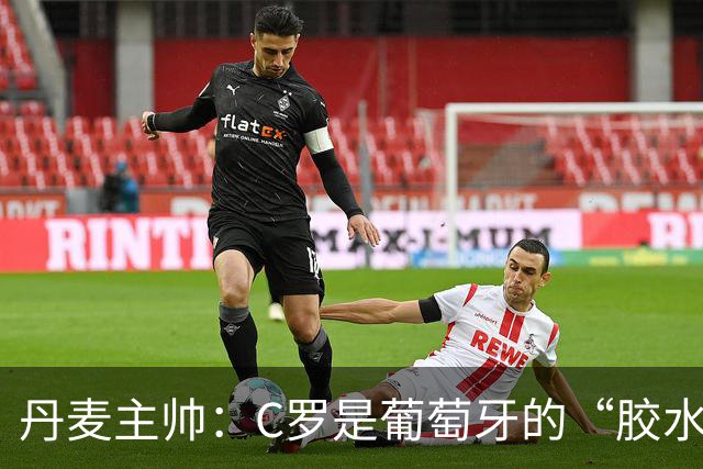 丹麦主帅：C罗是葡萄牙的“胶水”，他让球队紧密如一