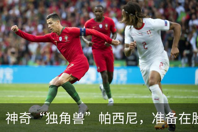 神奇“独角兽”帕西尼，准备在股市大舞台上翩翩起舞！